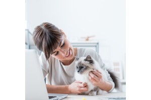 Huinan Petshop Pet Kuaför'de Kedilere Özel Tıraş Dahil Full Bakım Paketi