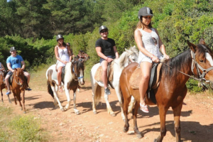 Laren Safari Park Tan Ormandan Sahile Uzanan 3 Saatlik At Safari Turu Firsat Bu Firsat