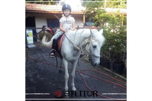 Atlıtur Gümüşdere'den Okullara Yönelik Atları Tanıma ve At Binme